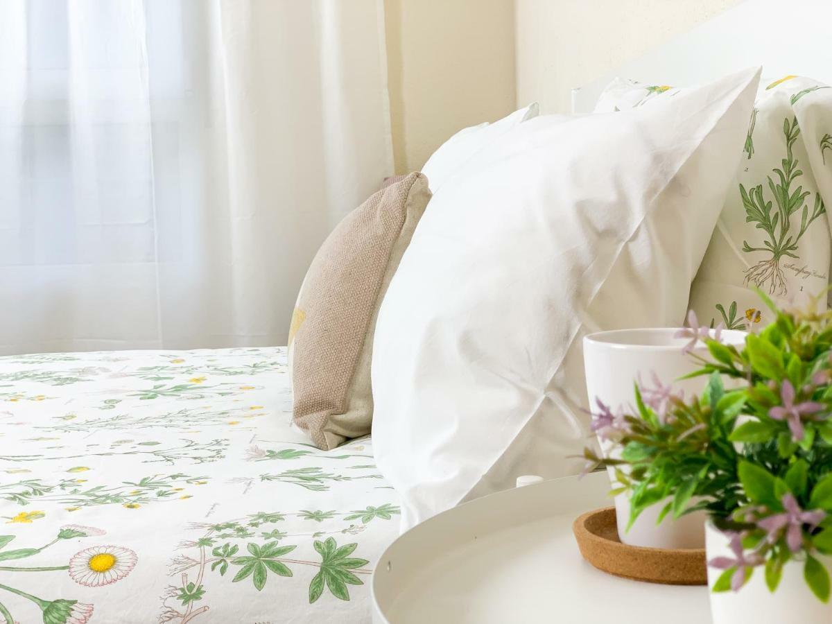 Cosy Flats Αλικάντε Εξωτερικό φωτογραφία